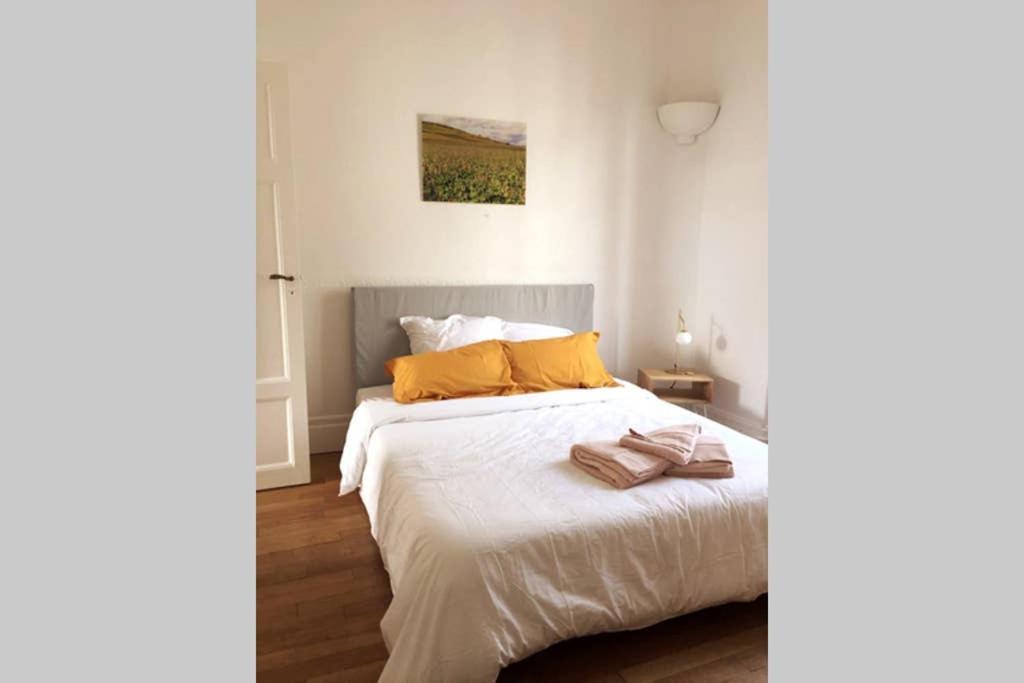 Appartement Cosy Idealement Situe Au Centre Ville Dijon Luaran gambar